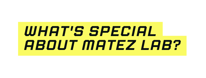 What s special about Matez Lab